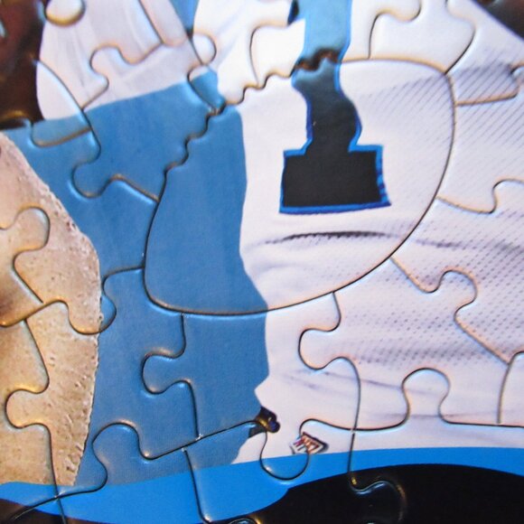 Carolina Panthers Shaped Puzzle - Picture 10 of 16